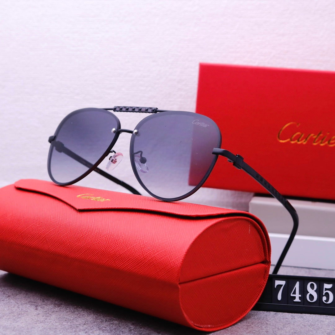 74K87T  fashion Sunglasses