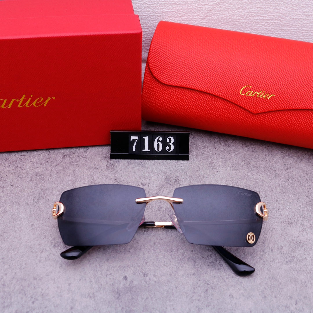 74K25T   fashion Sunglasses