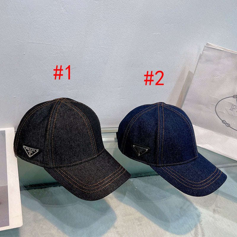 14PD460M  Fashion hats