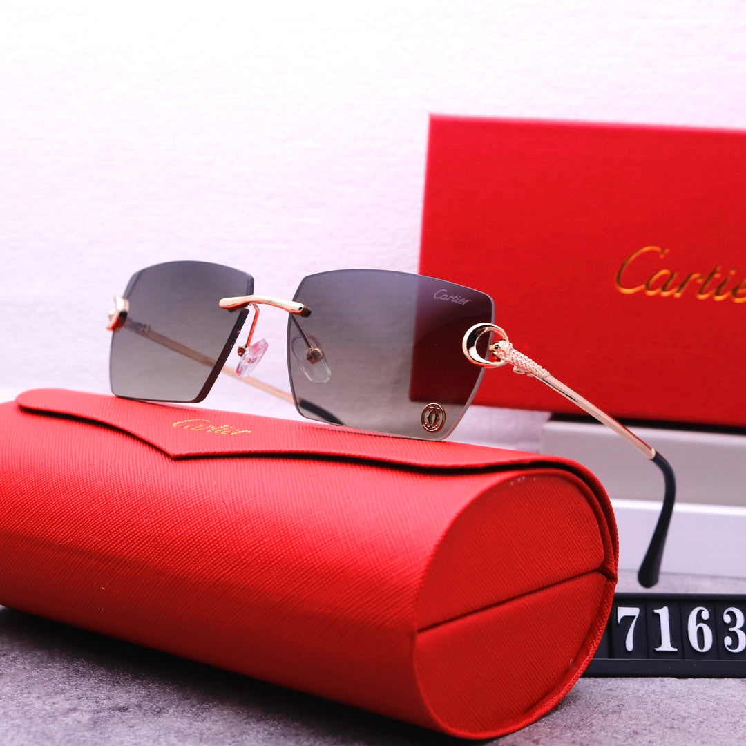 74K25T   fashion Sunglasses