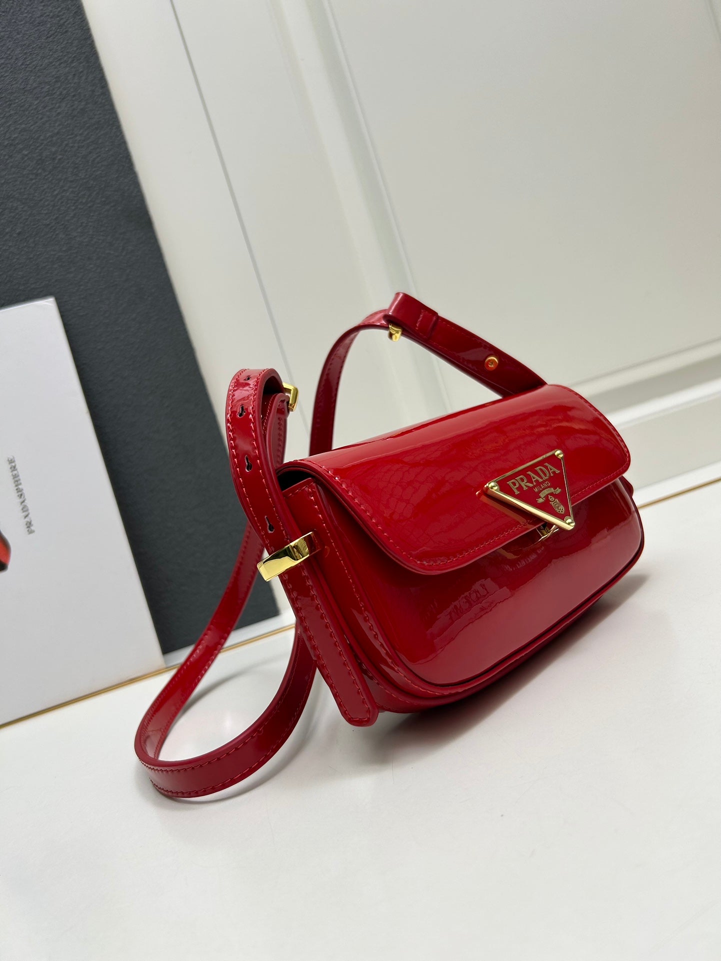 AXPD71B (Fashionable leather bag )