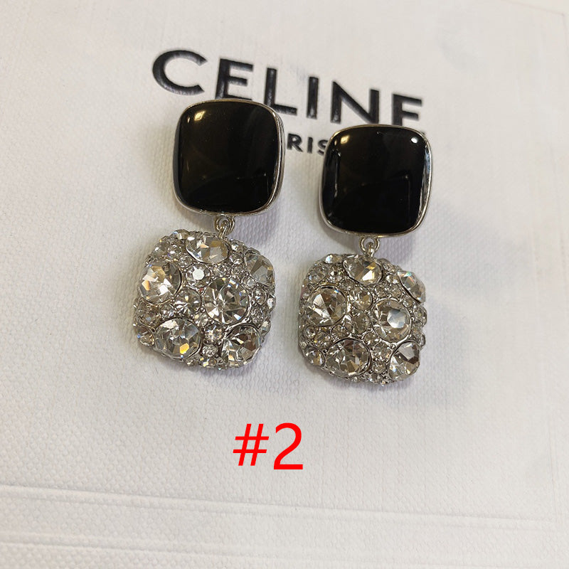 14CL202E  Fashion high -quality  Earrings