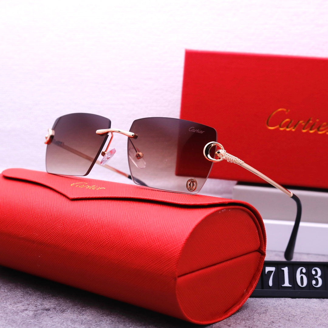 74K25T   fashion Sunglasses