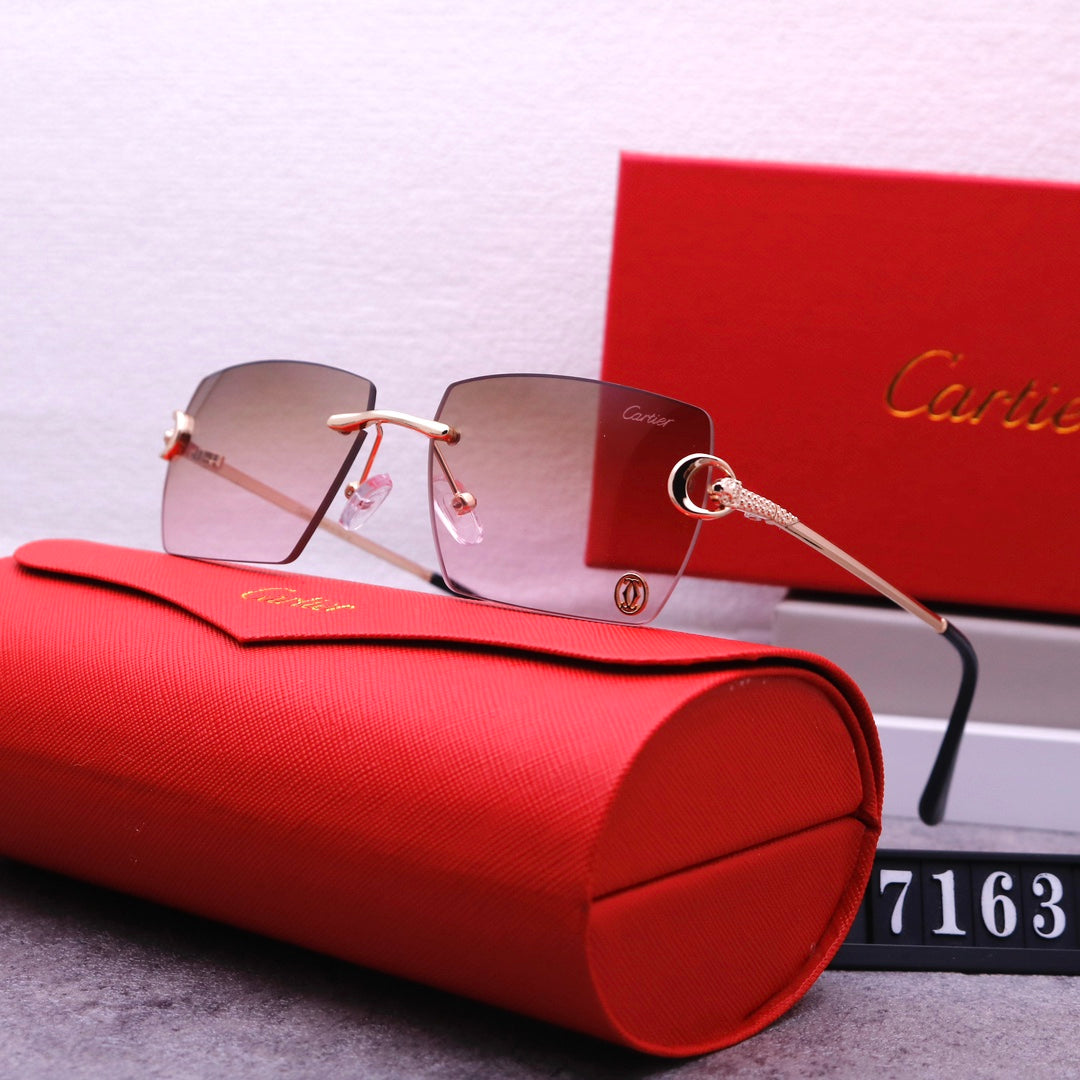 74K25T   fashion Sunglasses