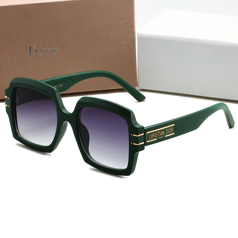 74D202T  fashion Sunglasses