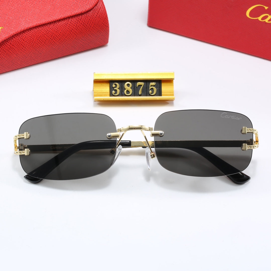 74K108T  fashion Sunglasses