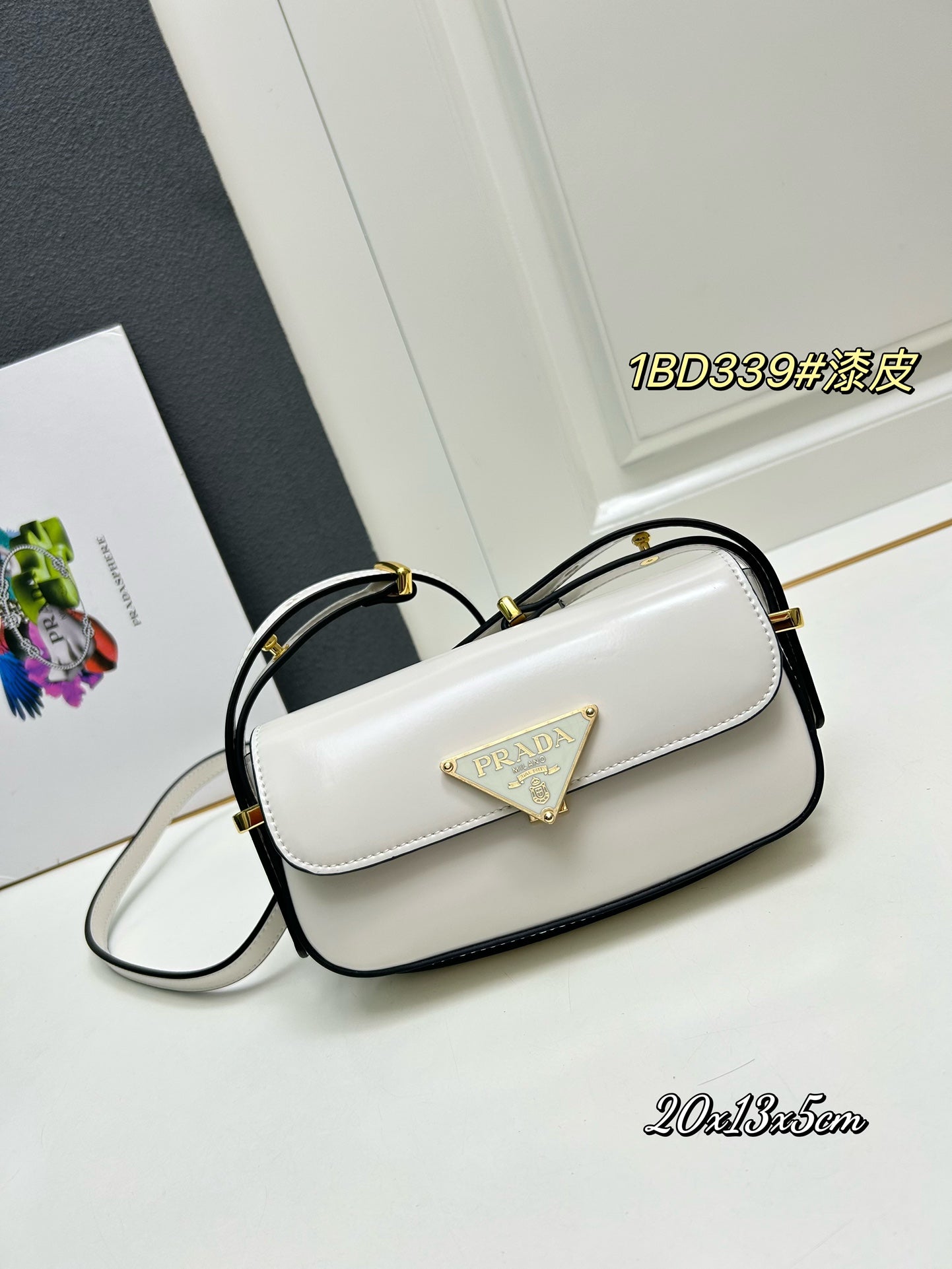 AXPD71B (Fashionable leather bag )