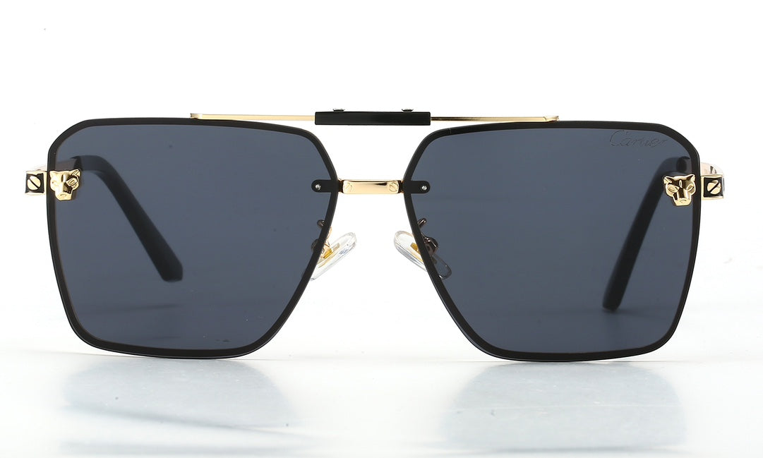 74K225T  fashion Sunglasses